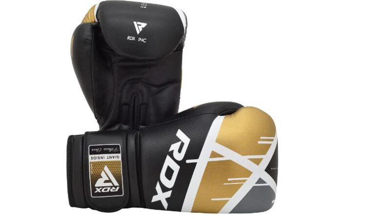 RDX Ego Boxing Gloves Review