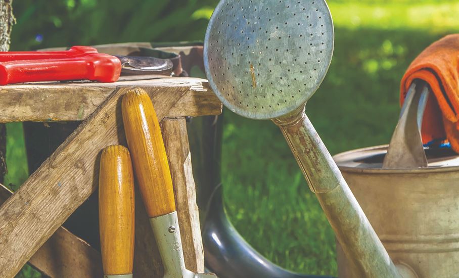 6 Essential Gardening Tools That Every Home Gardener Needs