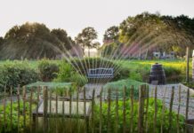 Gardening Tips: Every Gardener should know!