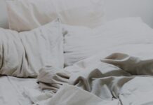 How to Identify Bed Bugs and How to Get Rid of Them? bed bugs