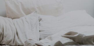bed bugs