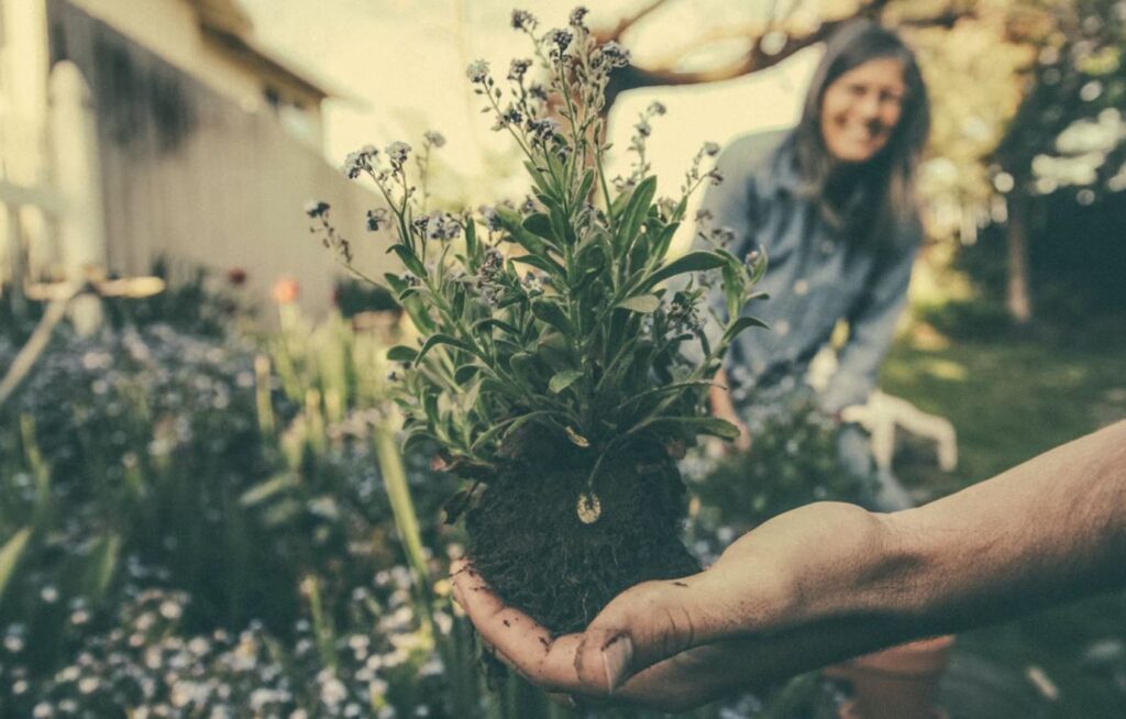 gardening