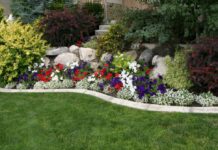Sustainable Landscaping: How to Create a Beautiful Yard That’s Eco-Friendly Sustainable Landscaping