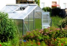 5 Tips for Creating a Greenhouse in Your Garden 5 Tips for Creating a Greenhouse in Your Garden