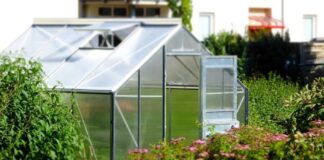 5 Tips for Creating a Greenhouse in Your Garden