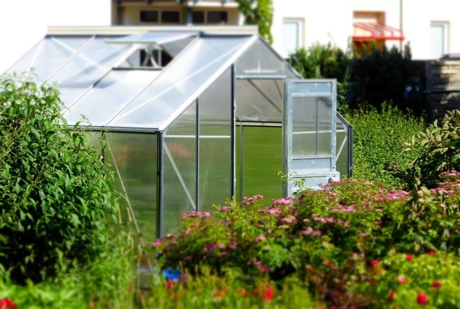 5 Tips for Creating a Greenhouse in Your Garden