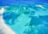 What to Expect on a Sandbar Boat Tour