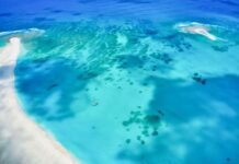What to Expect on a Sandbar Boat Tour