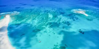 What to Expect on a Sandbar Boat Tour
