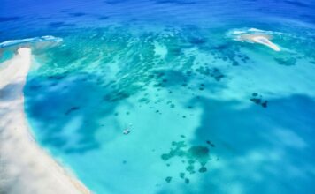 What to Expect on a Sandbar Boat Tour