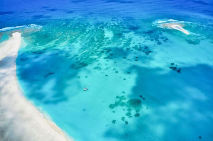 What to Expect on a Sandbar Boat Tour